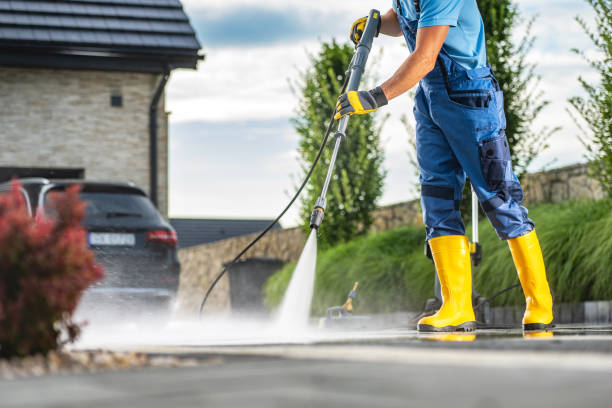 Best Roof Cleaning and Mildew Removal in New Knoxville, OH